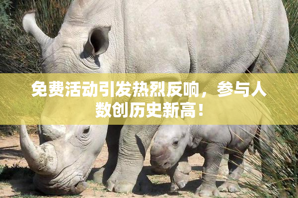 免费活动引发热烈反响，参与人数创历史新高！