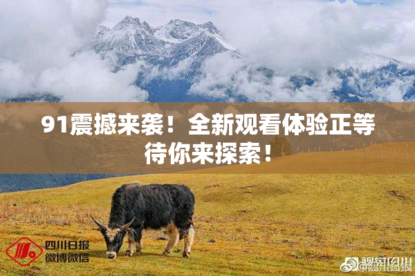 91震撼来袭！全新观看体验正等待你来探索！