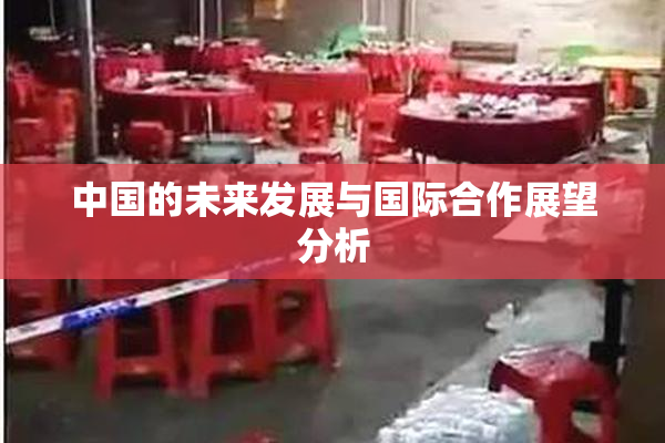 中国的未来发展与国际合作展望分析