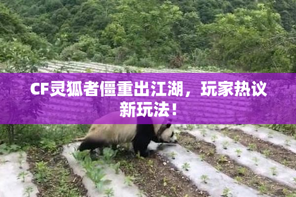 CF灵狐者僵重出江湖，玩家热议新玩法！