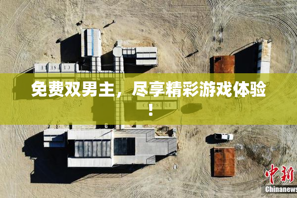 免费双男主，尽享精彩游戏体验！