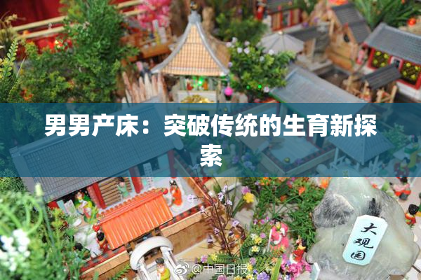 男男产床：突破传统的生育新探索