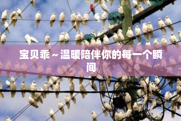 宝贝乖～温暖陪伴你的每一个瞬间