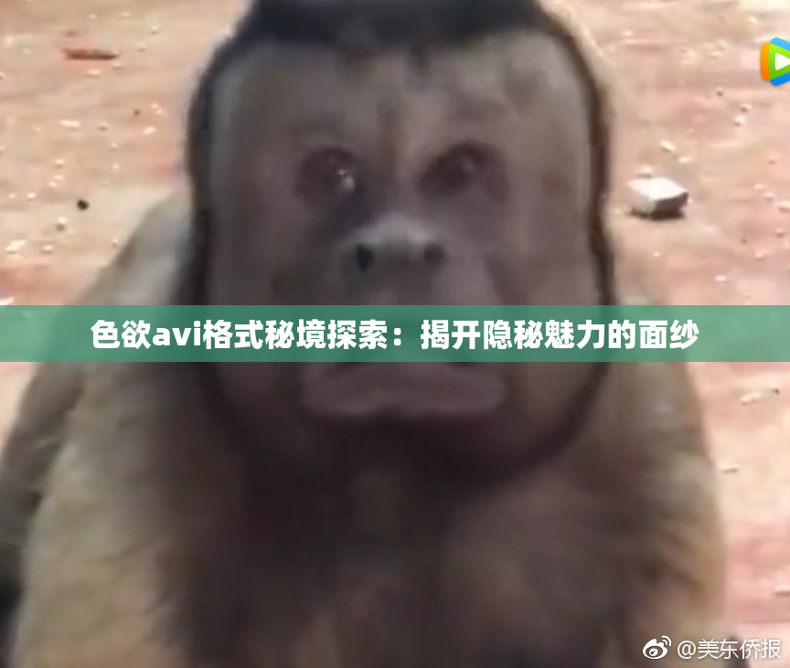 色欲avi格式秘境探索：揭开隐秘魅力的面纱