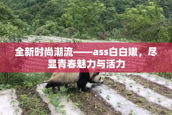 全新时尚潮流——ass白白嫩，尽显青春魅力与活力