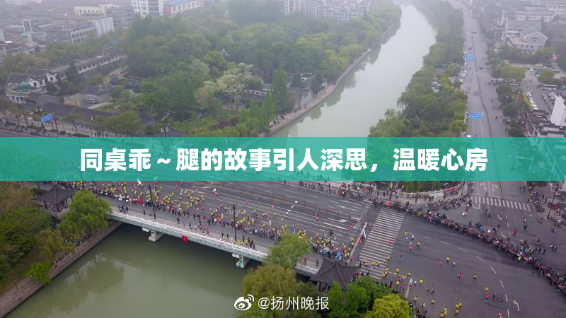同桌乖～腿的故事引人深思，温暖心房