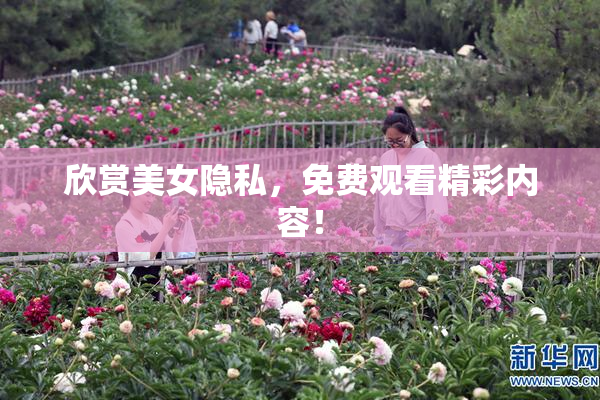 欣赏美女隐私，免费观看精彩内容！