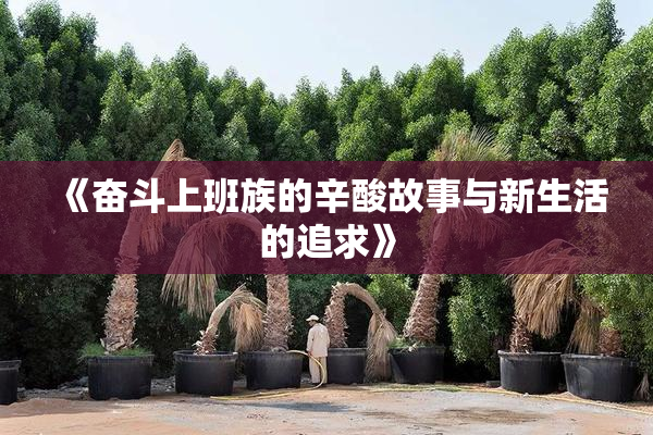《奋斗上班族的辛酸故事与新生活的追求》