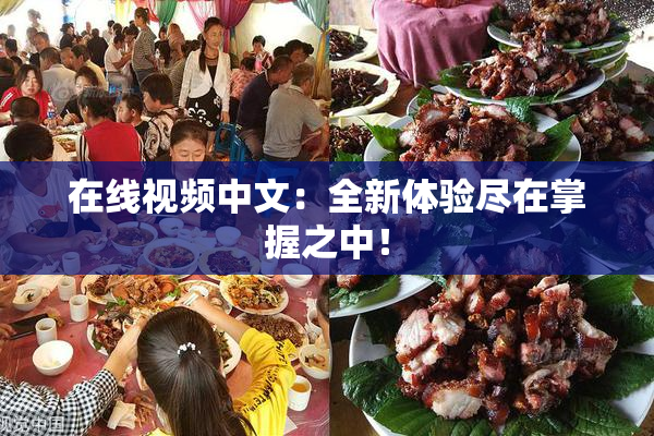 在线视频中文：全新体验尽在掌握之中！
