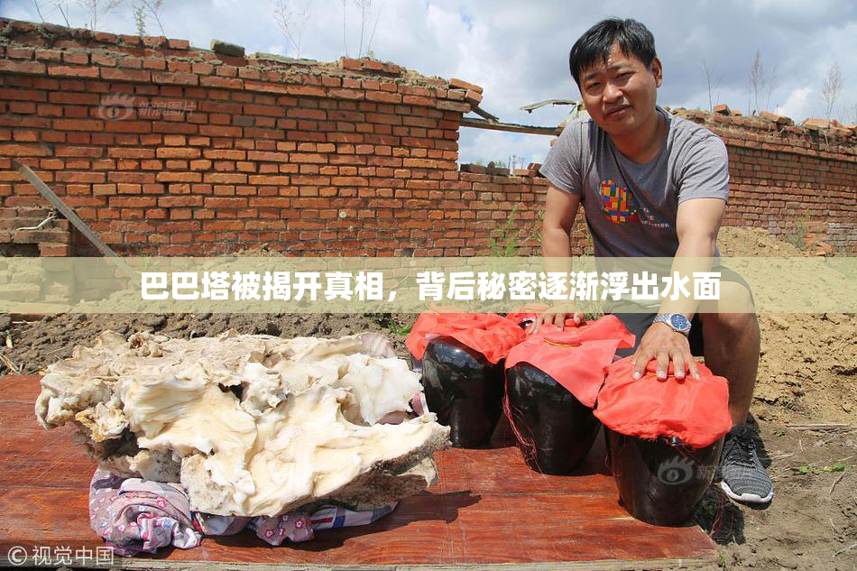 巴巴塔被揭开真相，背后秘密逐渐浮出水面