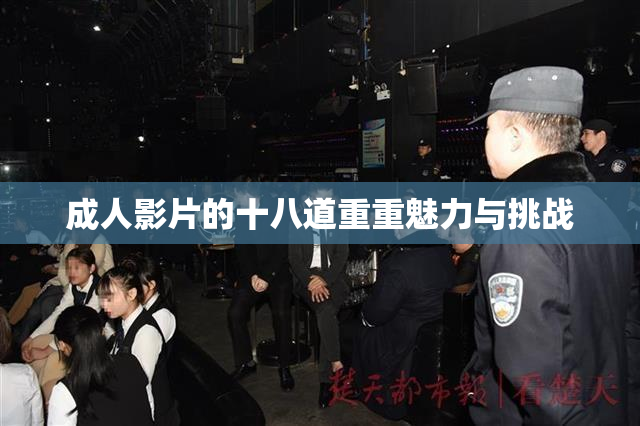 成人影片的十八道重重魅力与挑战