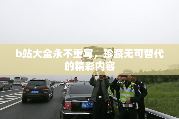 b站大全永不重写，珍藏无可替代的精彩内容