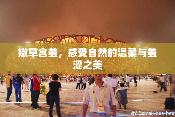 嫩草含羞，感受自然的温柔与羞涩之美
