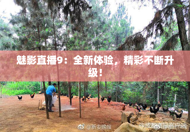 魅影直播9：全新体验，精彩不断升级！