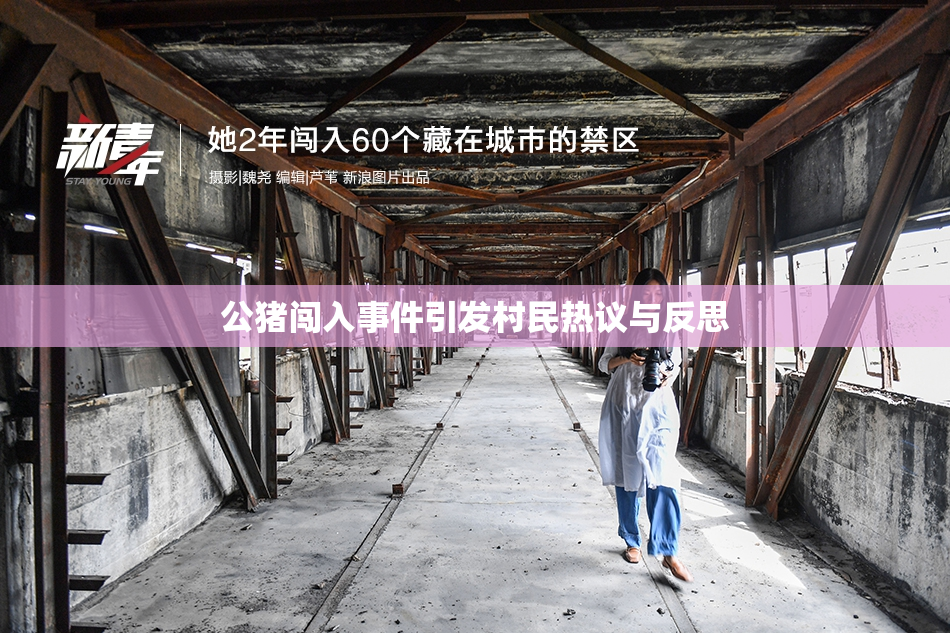 公猪闯入事件引发村民热议与反思