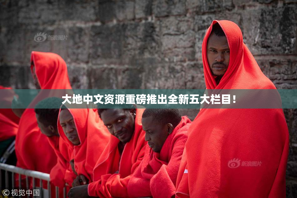 大地中文资源重磅推出全新五大栏目！