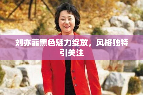 刘亦菲黑色魅力绽放，风格独特引关注