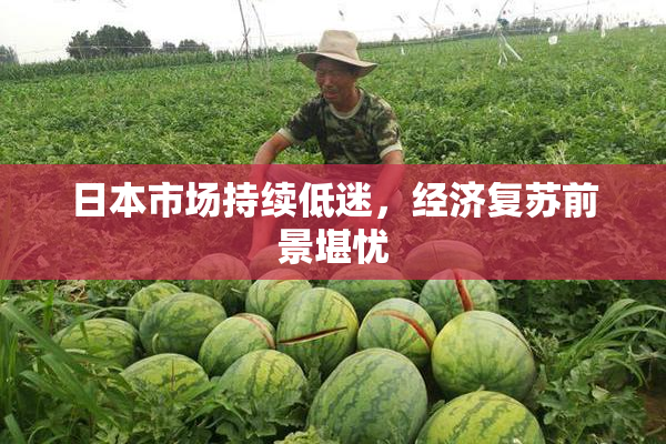 日本市场持续低迷，经济复苏前景堪忧
