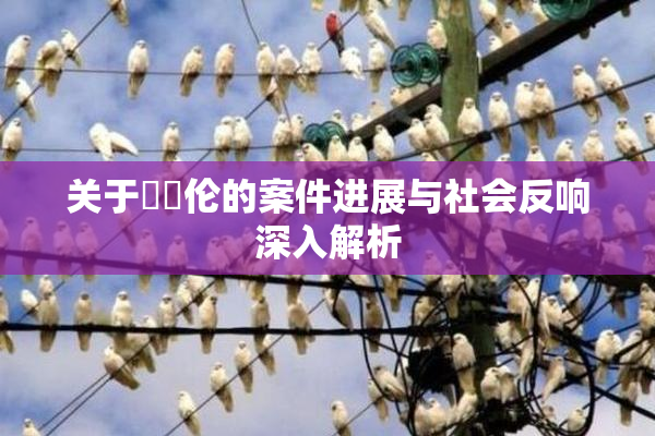 关于強姧伦的案件进展与社会反响深入解析