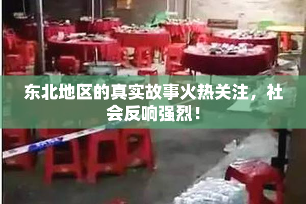 东北地区的真实故事火热关注，社会反响强烈！