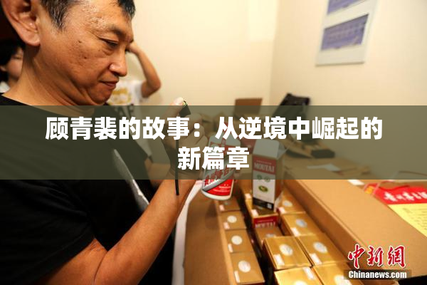 顾青裴的故事：从逆境中崛起的新篇章