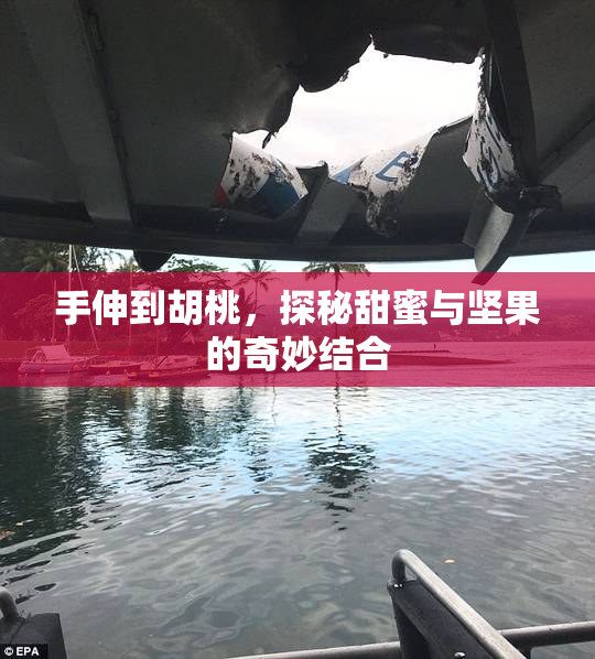 手伸到胡桃，探秘甜蜜与坚果的奇妙结合