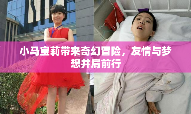 小马宝莉带来奇幻冒险，友情与梦想并肩前行