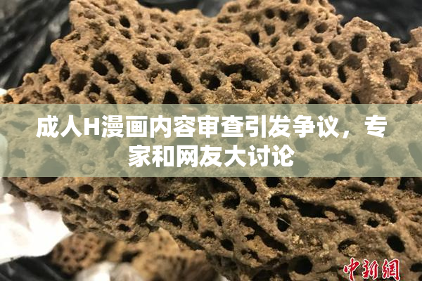 成人H漫画内容审查引发争议，专家和网友大讨论