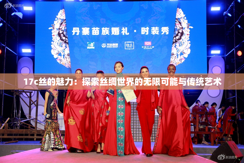 17c丝的魅力：探索丝绸世界的无限可能与传统艺术