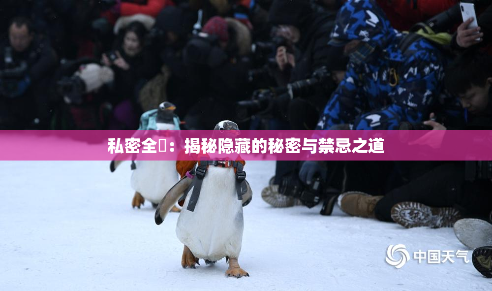 私密全婐：揭秘隐藏的秘密与禁忌之道