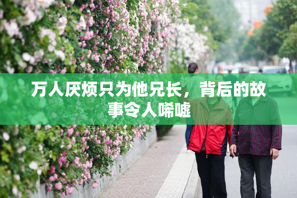 万人厌烦只为他兄长，背后的故事令人唏嘘