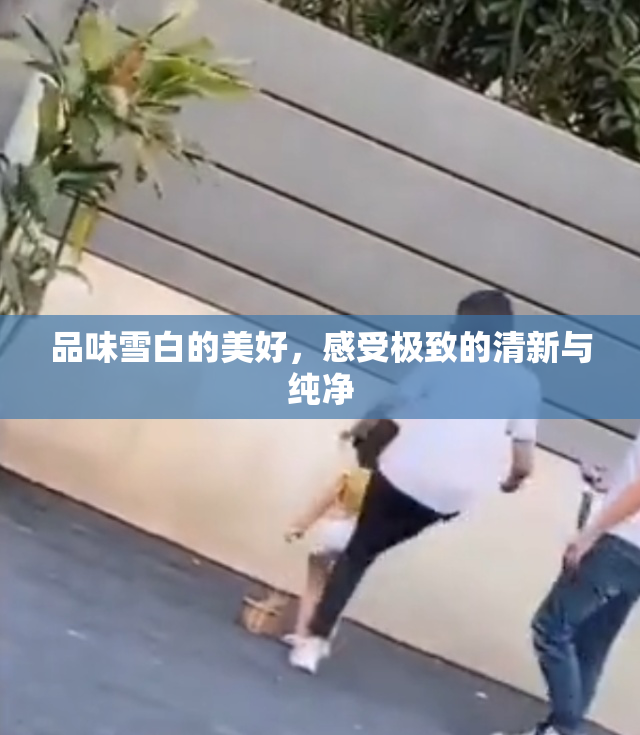 品味雪白的美好，感受极致的清新与纯净
