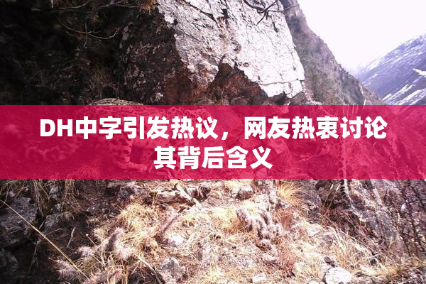 DH中字引发热议，网友热衷讨论其背后含义