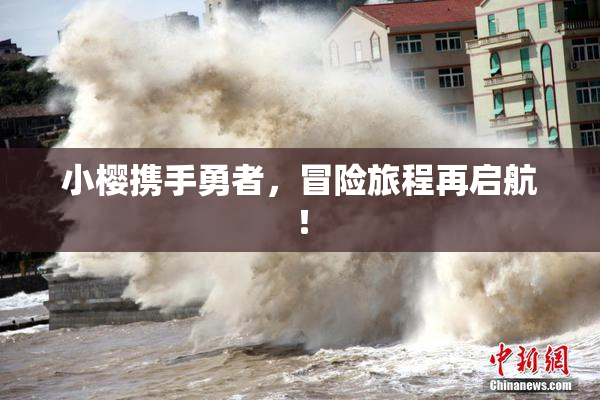 小樱携手勇者，冒险旅程再启航！