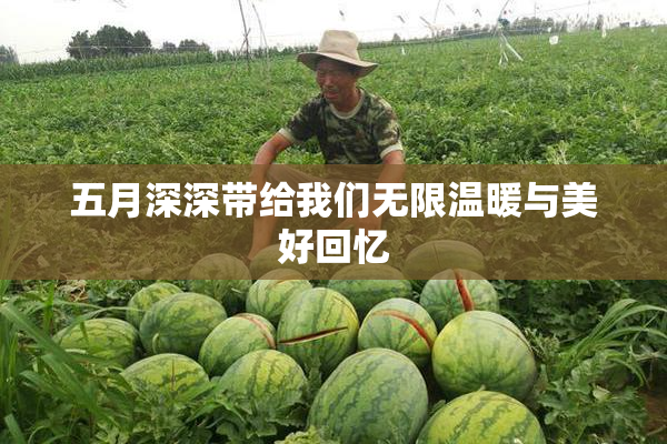 五月深深带给我们无限温暖与美好回忆