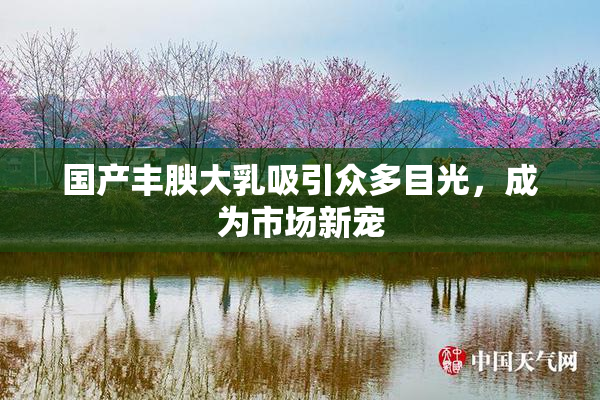 国产丰腴大乳吸引众多目光，成为市场新宠