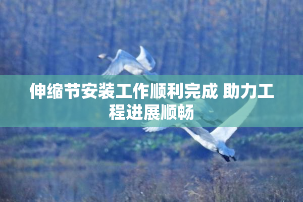 伸缩节安装工作顺利完成 助力工程进展顺畅