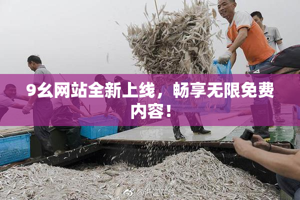9幺网站全新上线，畅享无限免费内容！