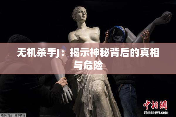 无机杀手J：揭示神秘背后的真相与危险