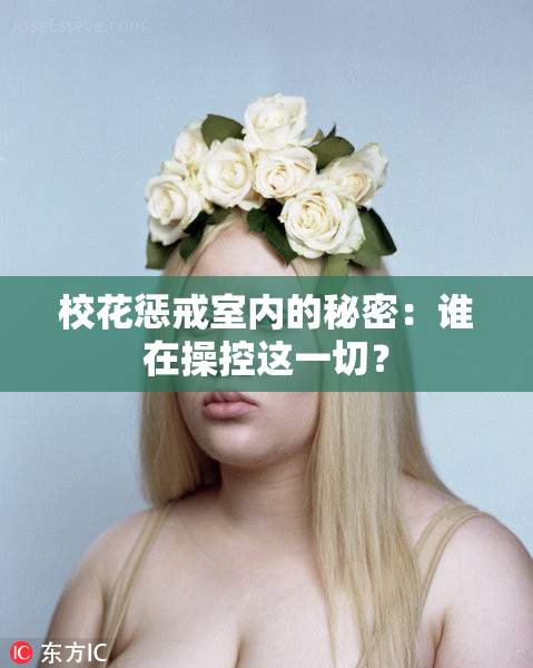 校花惩戒室内的秘密：谁在操控这一切？