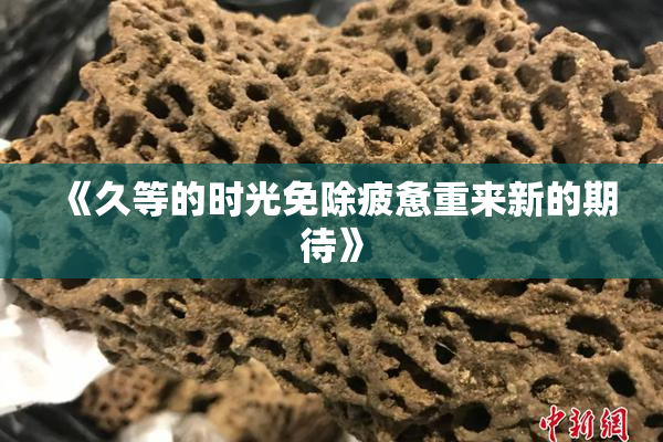 《久等的时光免除疲惫重来新的期待》