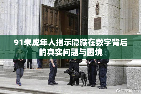 91未成年人揭示隐藏在数字背后的真实问题与困境