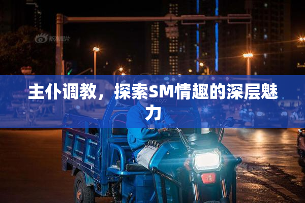 主仆调教，探索SM情趣的深层魅力