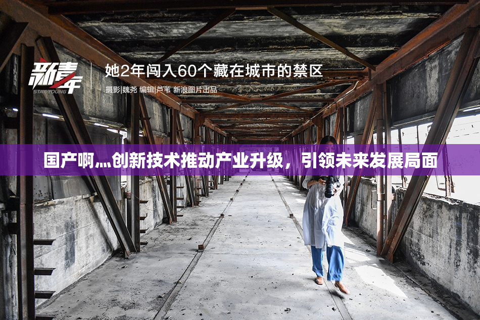 国产啊灬创新技术推动产业升级，引领未来发展局面