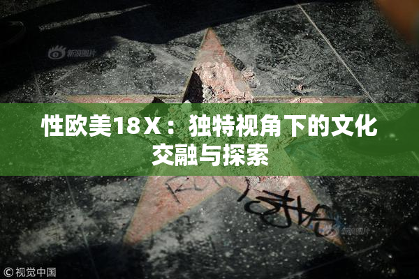 性欧美18Ⅹ：独特视角下的文化交融与探索