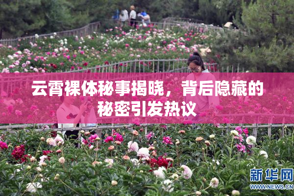 云霄裸体秘事揭晓，背后隐藏的秘密引发热议