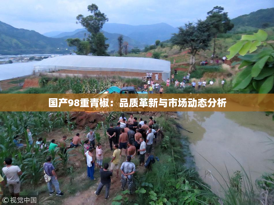 国产98重青椒：品质革新与市场动态分析