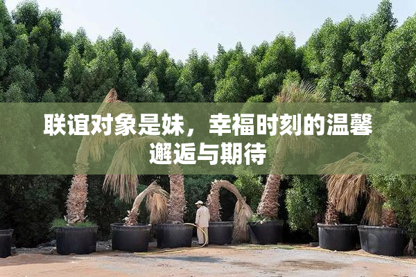 联谊对象是妹，幸福时刻的温馨邂逅与期待