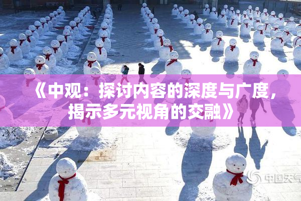 《中观：探讨内容的深度与广度，揭示多元视角的交融》