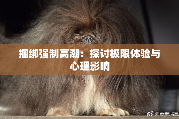 捆绑强制高潮：探讨极限体验与心理影响